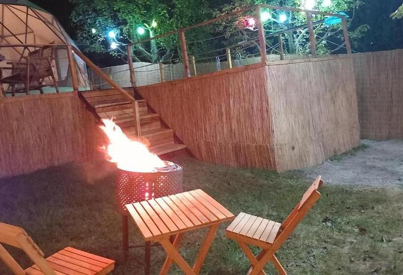 住宿加早餐 Sapanca Palmera Dome