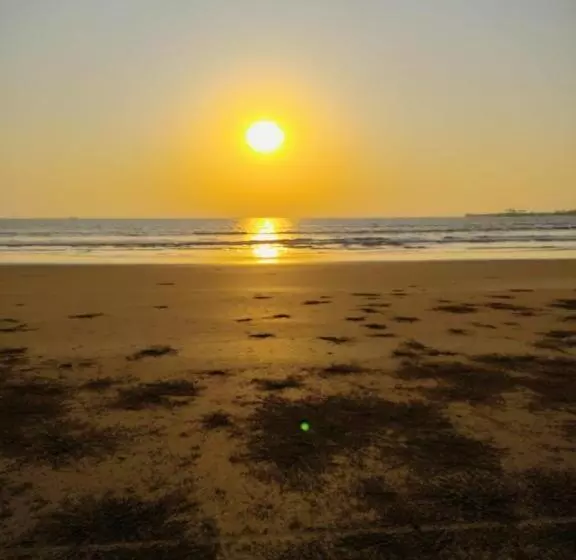 Dhanish Resort
