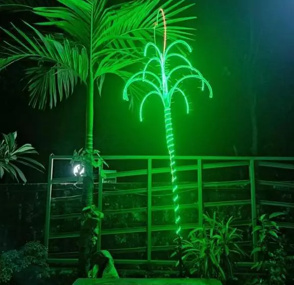 Dhanish Resort