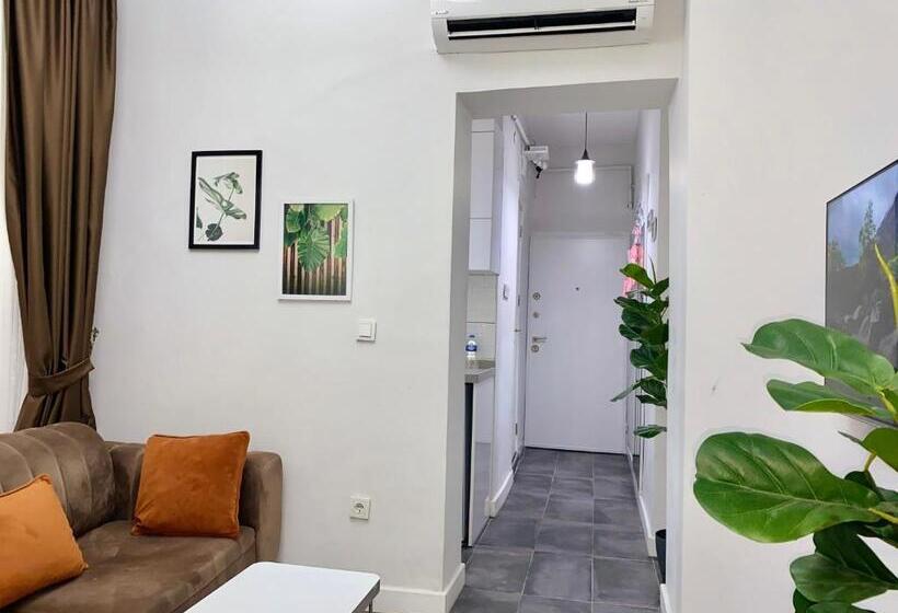 Flat In The Middle Of İsti̇klal