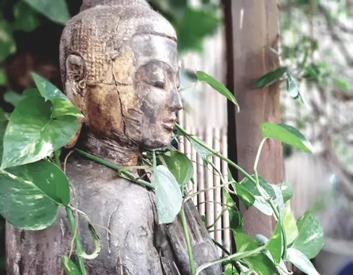 ホテル Blue Indigo Yoga Cambodia