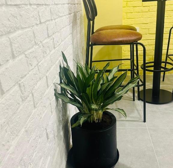 هتل Dori House Quận 1