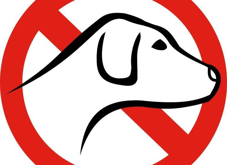 هتل Gästehaus Gelsenkirchen