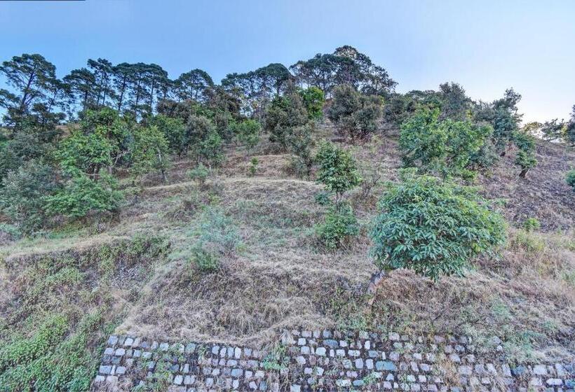 هتل Oyo Drishyam Homestay