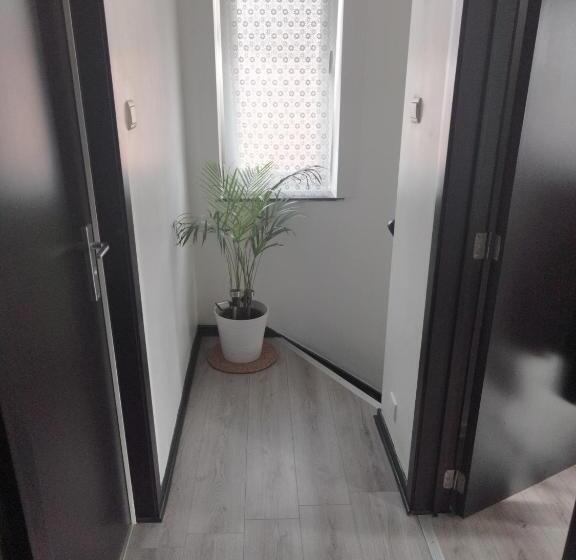 ペンション Maison De La Cité