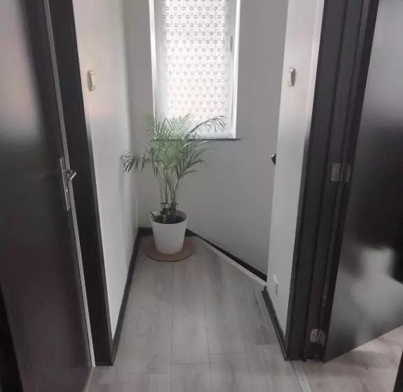 ペンション Maison De La Cité