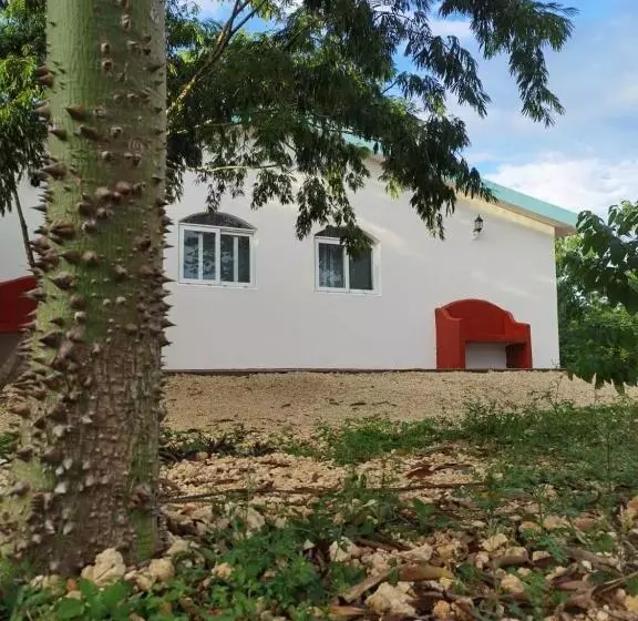 Valparaíso Selva Maya