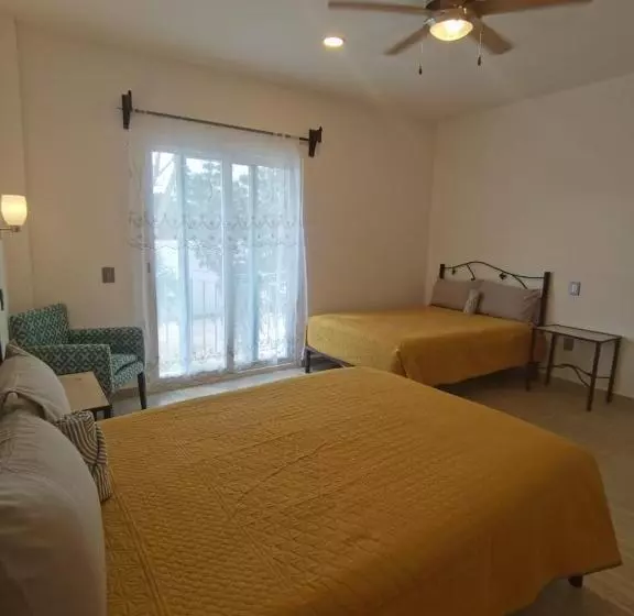 Valparaíso Selva Maya