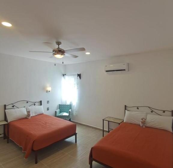 Valparaíso Selva Maya