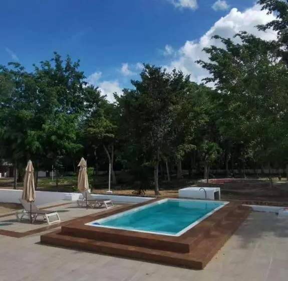 Valparaíso Selva Maya