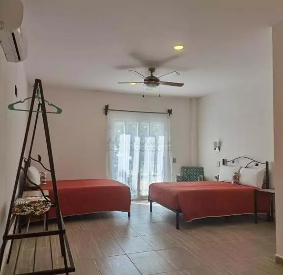 Valparaíso Selva Maya