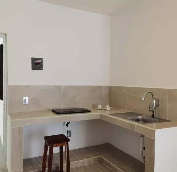 Valparaíso Selva Maya