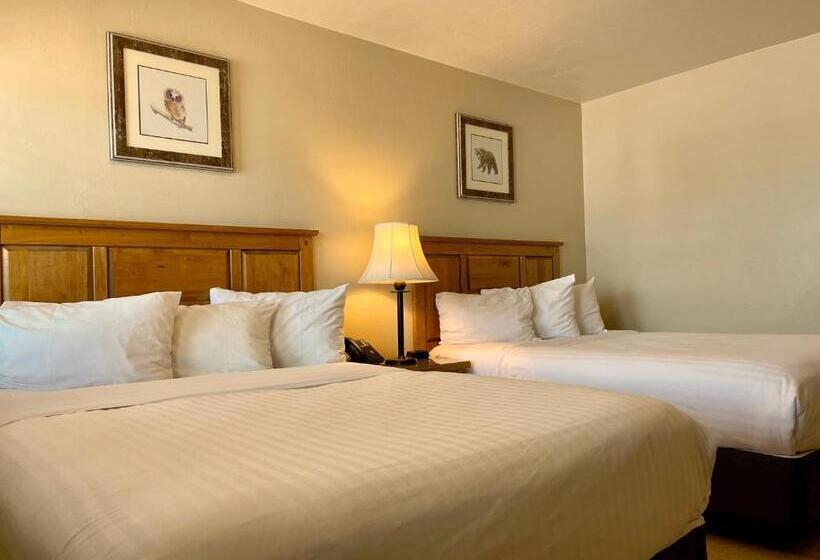 فندق Arizona Sunset Inn