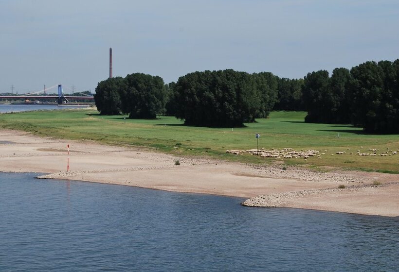 בית מלון כפרי Central Pension