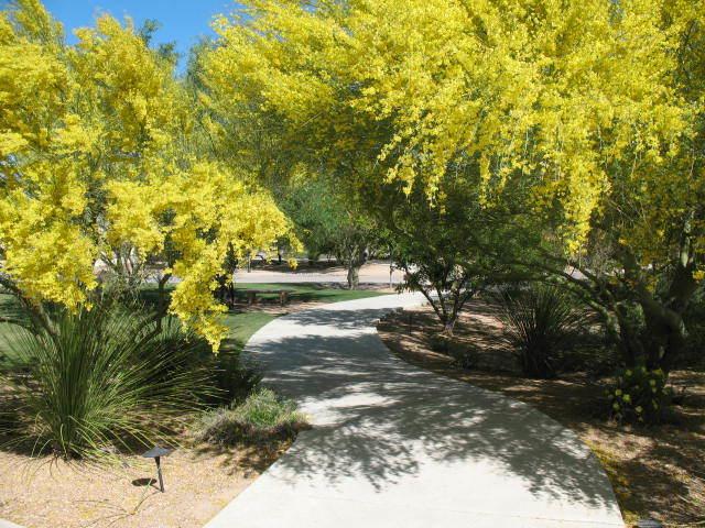 هتل Desert Sol Bnb Inn