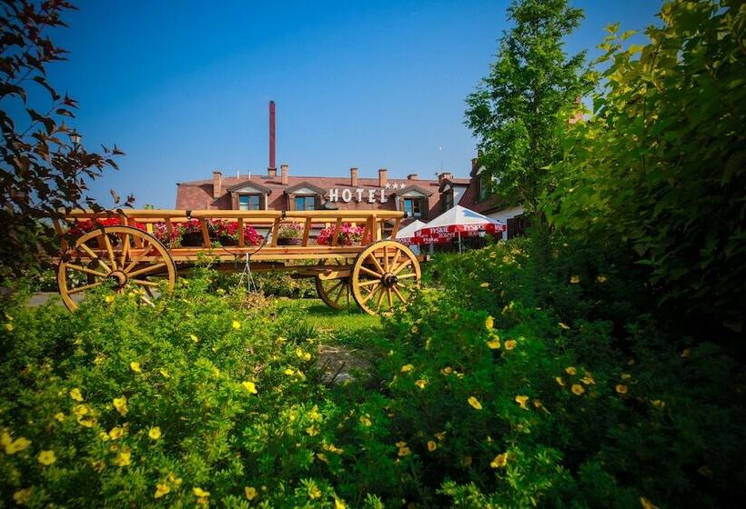 Dwór Bogucin Hotel&restauracja