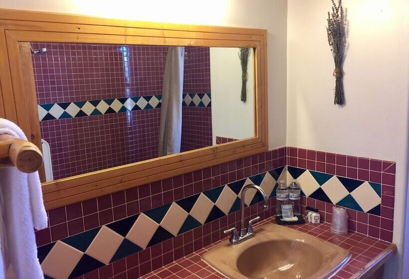 فندق Guadalupe Inn