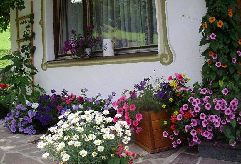 فندق Haus Elisabeth