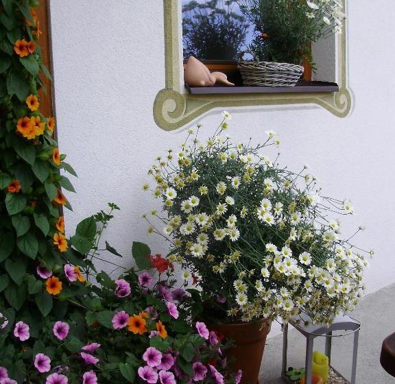 فندق Haus Elisabeth