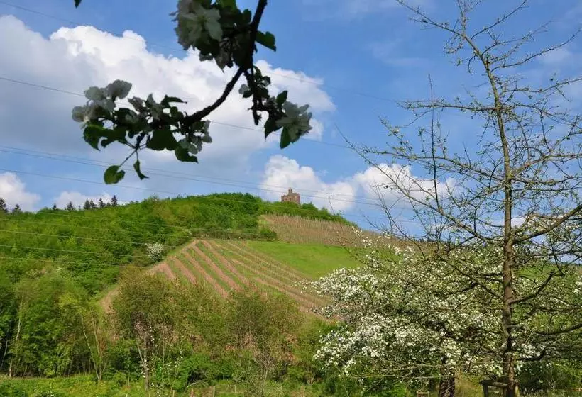 Hotelli Schroeders Wein Style