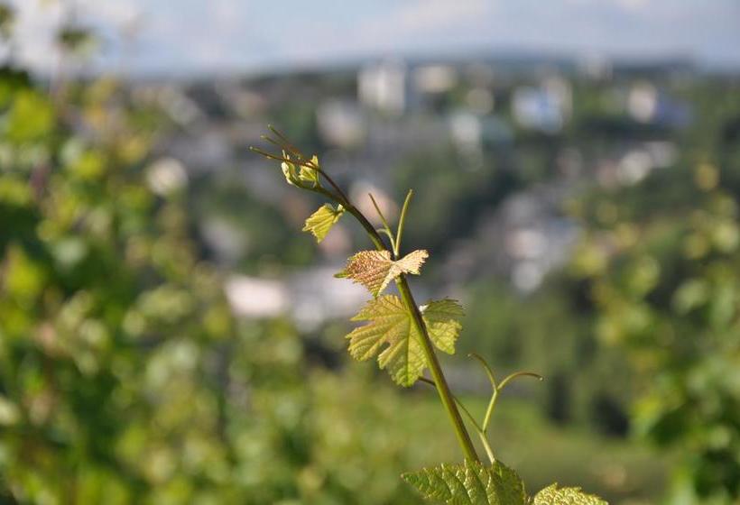 فندق Schroeders Wein Style