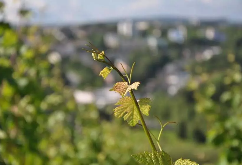 Hotelli Schroeders Wein Style