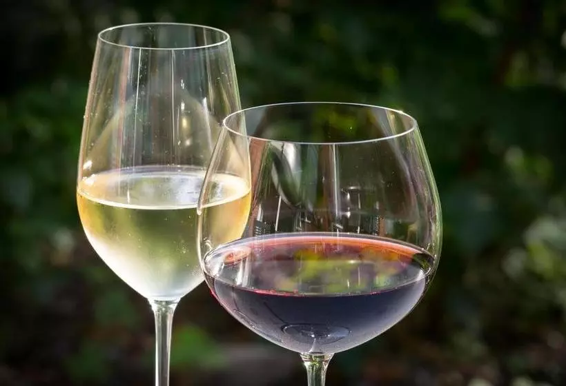 Hotelli Schroeders Wein Style