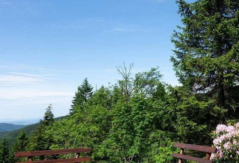 ホテル Thüringenschanze