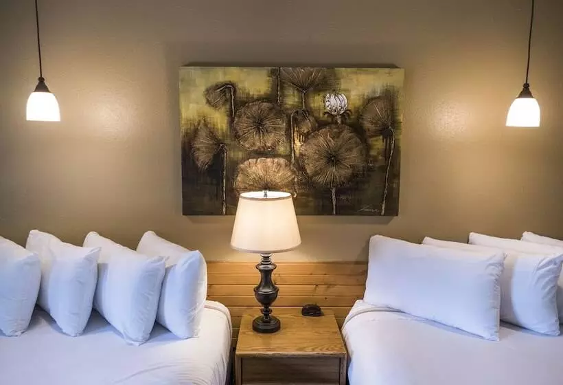 ホテル Timber Ridge Lodge Ouray