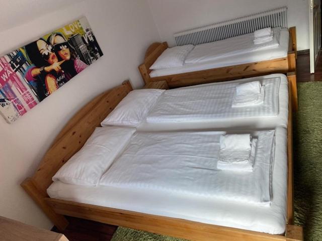 فندق Wildschütz Basic