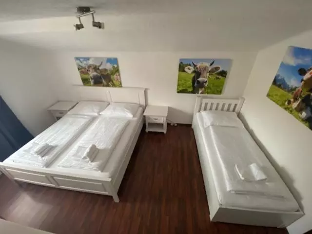 Hotel Wildschütz Basic