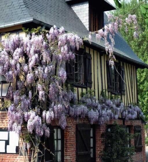 Отель Auberge Du Val Au Cesne
