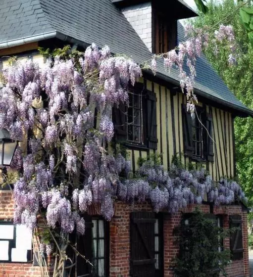 Hotelli Auberge Du Val Au Cesne