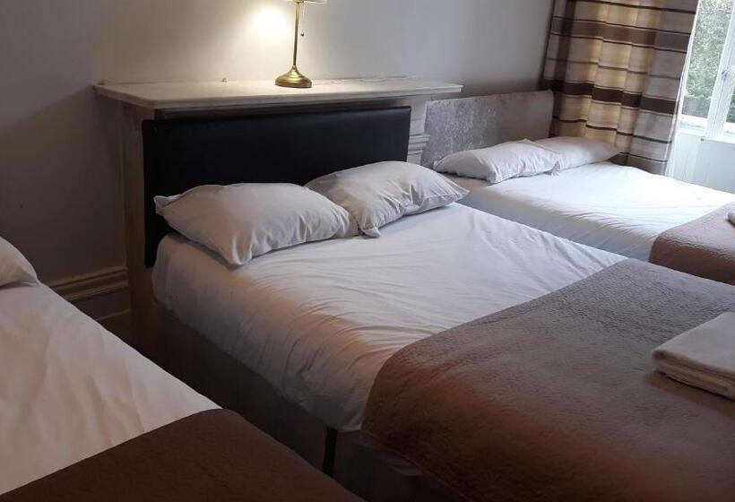 בית מלון כפרי King Garden