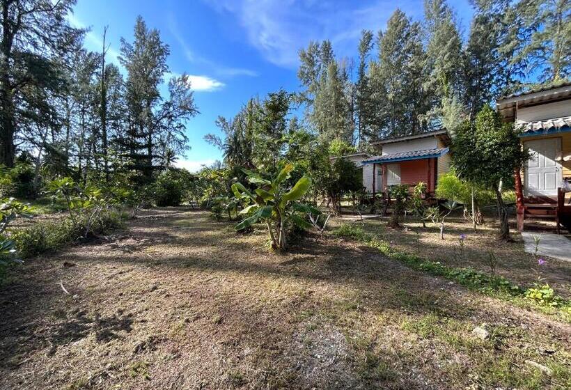 בית מלון כפרי Neverland Beach Village Bungalows