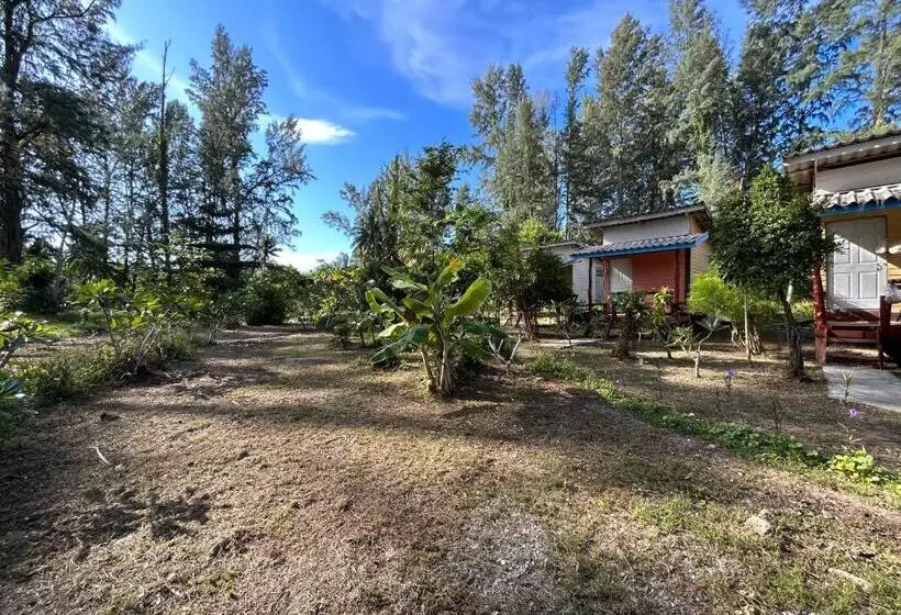 Hotelli Neverland Beach Village Bungalows