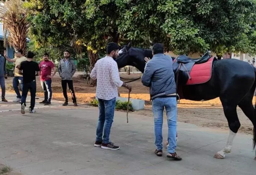 Hotelli Saachi Villagio Resort