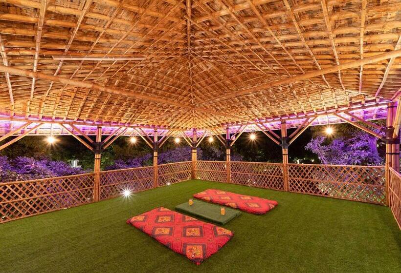 Отель Saachi Villagio Resort