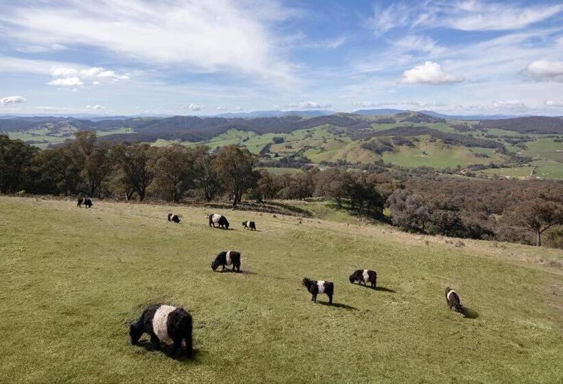 בית מלון כפרי The Bella Vista By Mt Bellevue