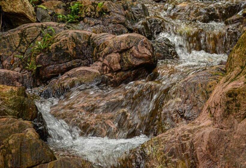 Ikogosi Warm Springs Resort
