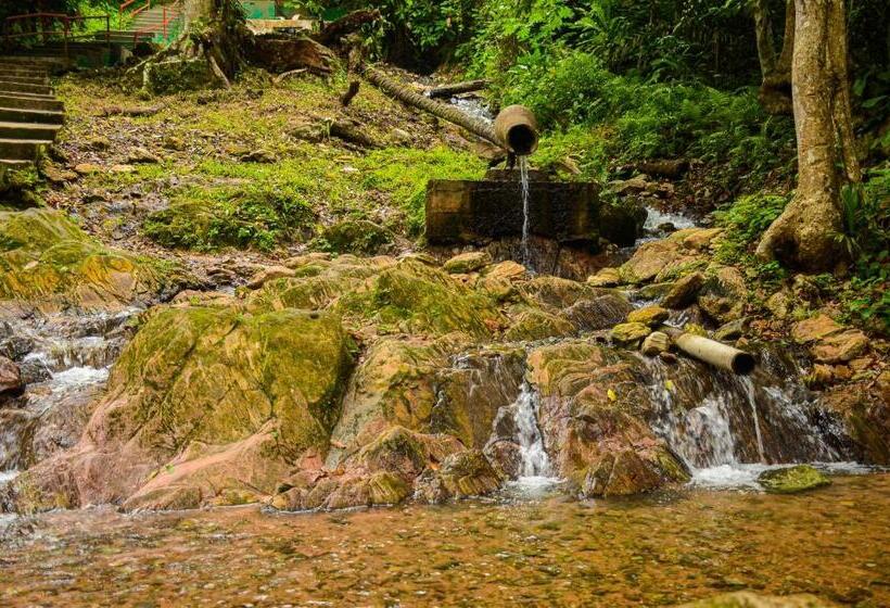 Ikogosi Warm Springs Resort