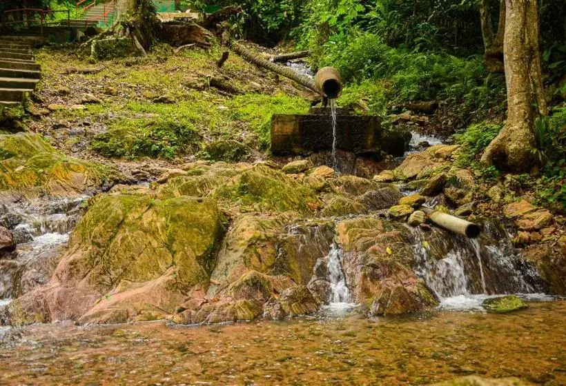 Ikogosi Warm Springs Resort