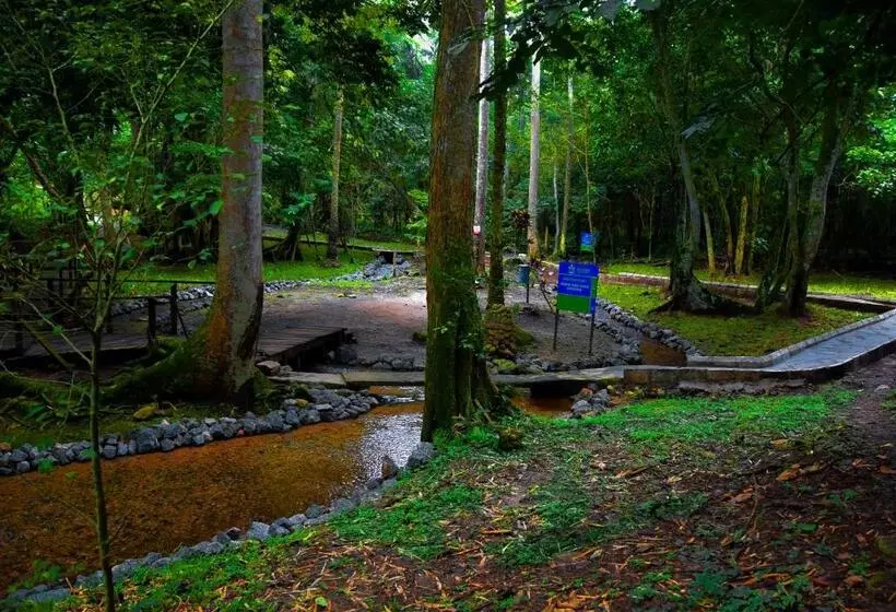 Ikogosi Warm Springs Resort