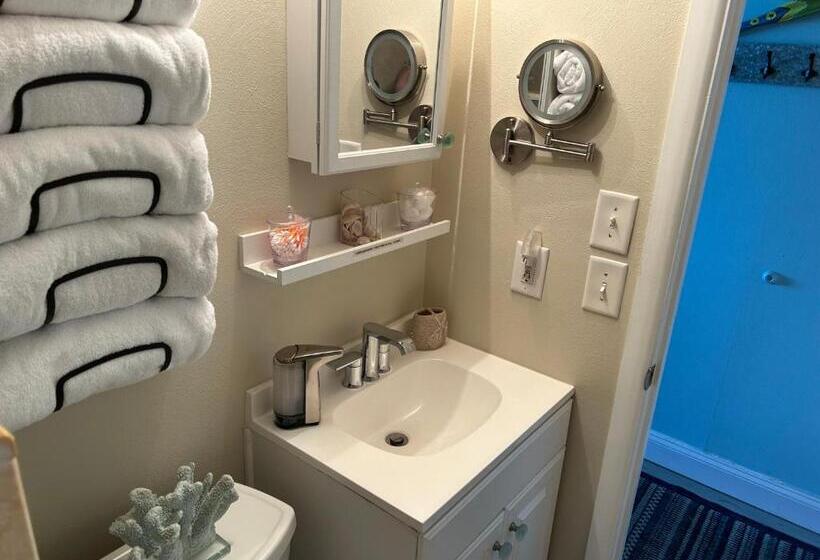 Ob Oceanfront Studio   Closest To The Beach