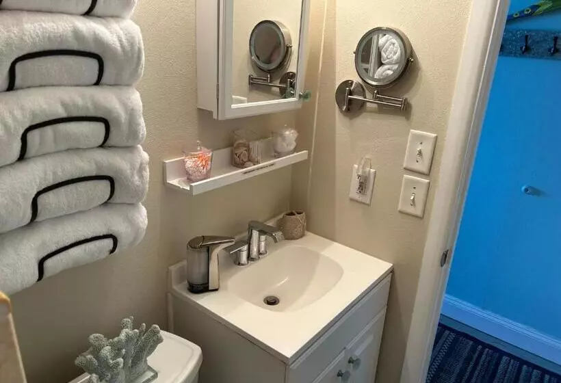 Ob Oceanfront Studio   Closest To The Beach