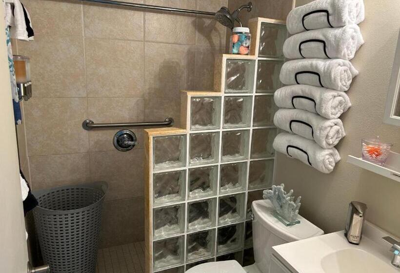 Ob Oceanfront Studio   Closest To The Beach