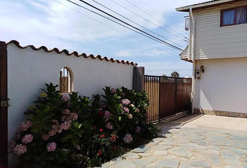 پانسیون Oceano Hostel