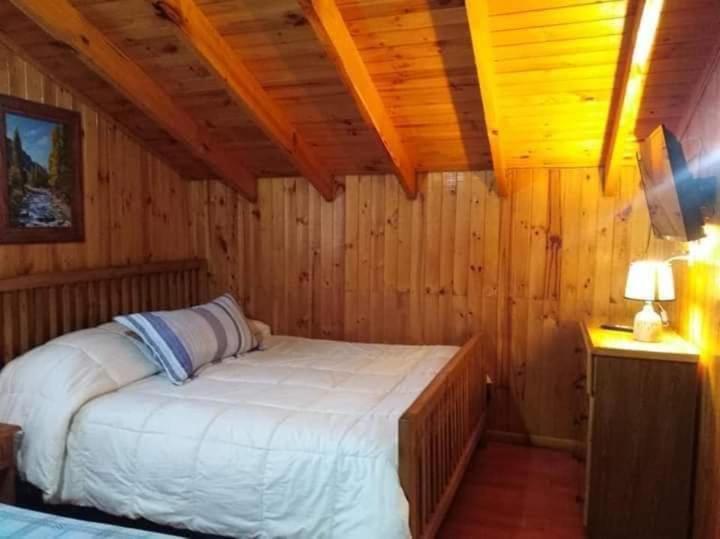 پانسیون Oceano Hostel