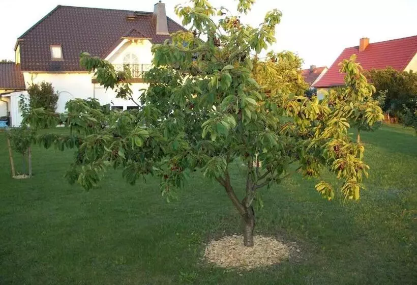 Majatalo Room In Apartment   Haus Im Grunen House In The Green