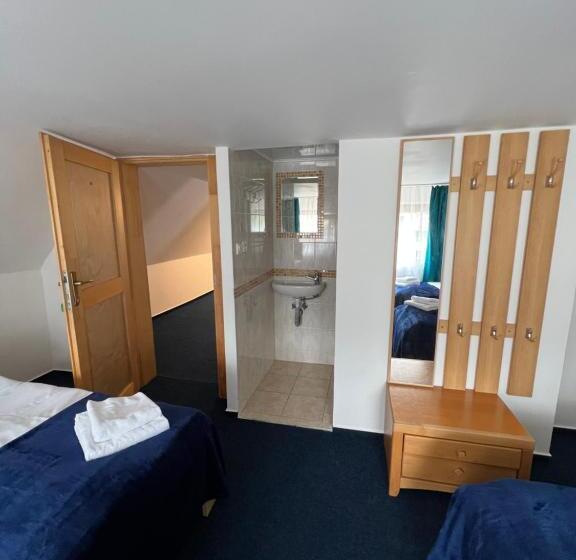 ユースホステル 7rooms